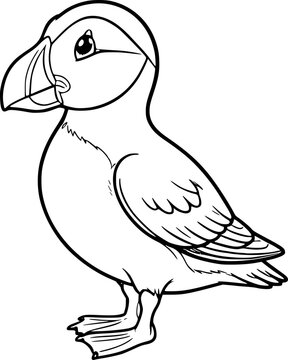 vector illustration of a puffin bird