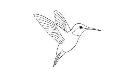 Fototapeta premium A hummingbird is flying in an upward motion. The bird is depicted in a black and white line drawing style.