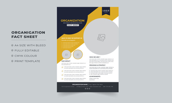 Creative Nonprofit Organization Fact Sheet or Minimalist Organization Fact Sheet for presentation