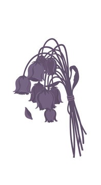 Wilting Purple Flowers Bouquet Isolated on White Background, Symbolizing Sadness and Loss