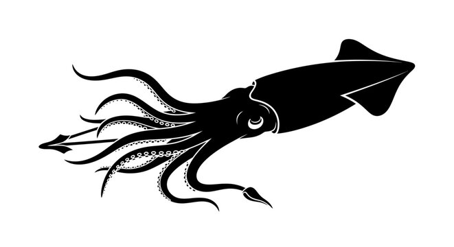 Stylized black squid marine animal illustration with tentacles