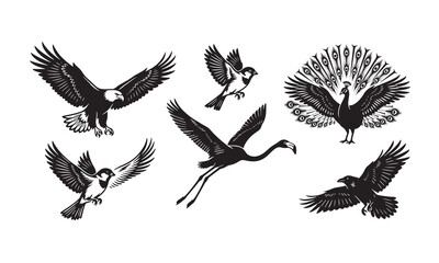 Obraz premium A comprehensive collection of wild flying bird silhouettes featuring eagle, hawk, and raven vectors with elegant wings and feathers for nature-inspired tattoo art and wildlife design symbols