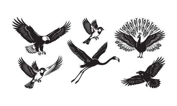 A comprehensive collection of wild flying bird silhouettes featuring eagle, hawk, and raven vectors with elegant wings and feathers for nature-inspired tattoo art and wildlife design symbols