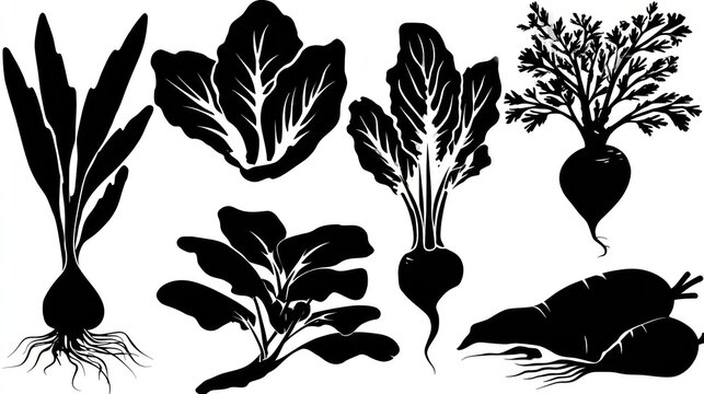 Collection of various root vegetable silhouettes depicted against a white background.