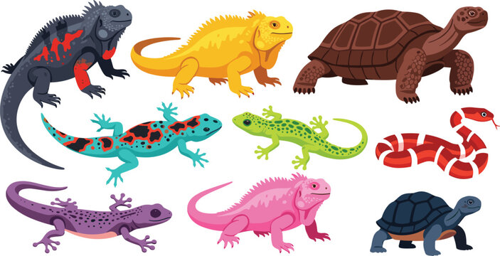 Colorful Vector Set of Reptiles Including Lizards, Turtles, and Snakes for Wildlife, Nature, and Animal-Themed Designs