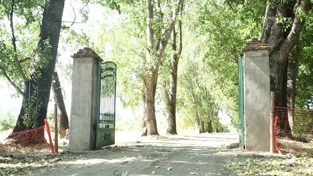 Sunlight filters through tall green trees. An old gate stands half open, inviting passage. Dusty path leads deeper into quiet forest. No people, no animals, no movement. Ideal for tranquil, nostalgic