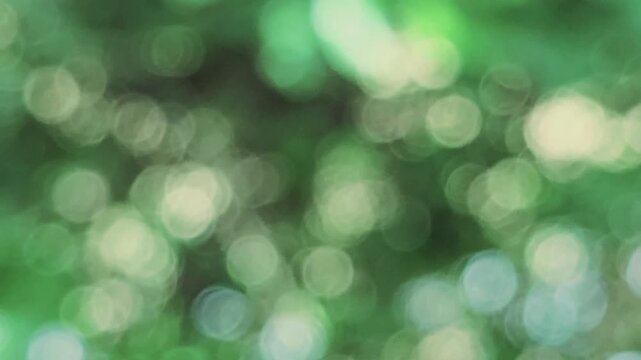 Lush, out-of-focus green foliage creates a soft bokeh effect. This ethereal light dance highlights the delicate beauty of our ecosystems, reminding why preserving biodiversity is vital for our future.