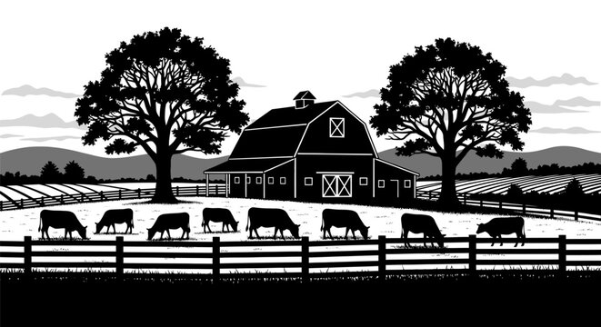 Cows grazing in a fenced field with a large barn and trees in the background landscape