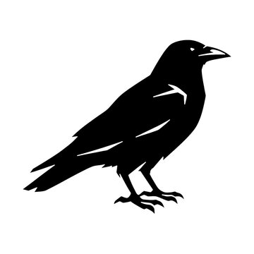 PNG Silhouette of perched raven