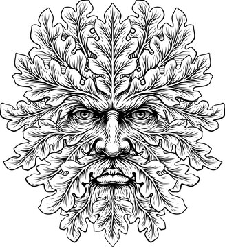 Green Man foliate face ancient symbol of nature and rebirth in vintage woodcut illustration style. A human face made of leaves, plants and foliage.