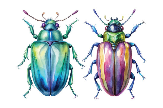 Hand-Painted Jewel Beetle Watercolor, Iridescent Bug Art, Isolated Vector Illustration