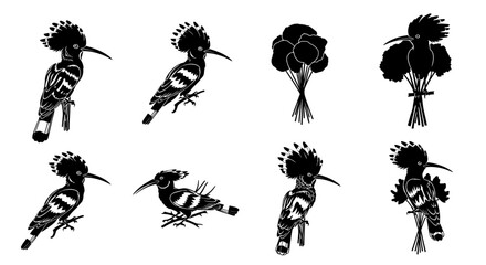 Black silhouette illustrations of hoopoe birds and flowers on white background decorative wildlife and botanical elements for design and artistic projects © Pabitra