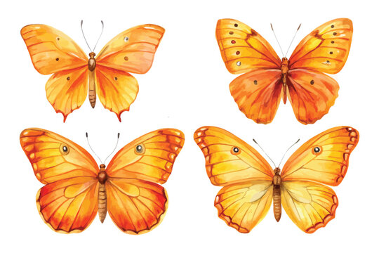 set of Watercolor Julia Butterfly , Orange Tropical Butterfly Art, vector illustration isolated on white background
