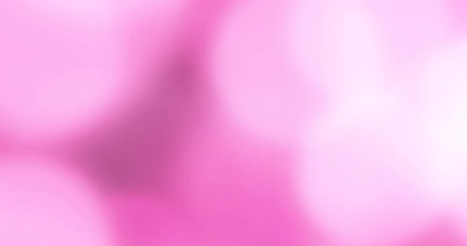 Soft Pink Gradient Abstract Background with Smooth Pastel Blur and Light Glow. Loop Animation
