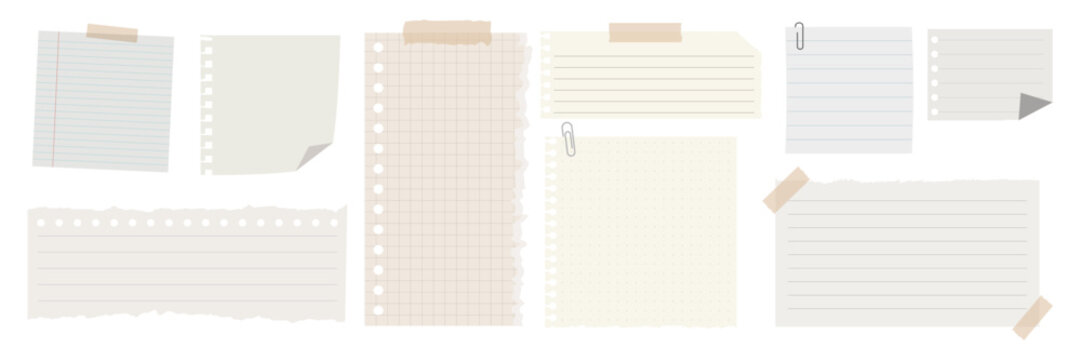 Assorted paper notes collection vector element