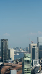 Naklejka premium 東京の街並み