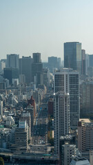 Fototapeta premium 東京の街並み