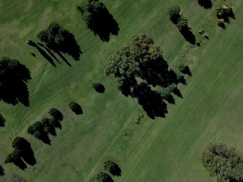 Bird's eye view of golf course patterns with trees and sand bunkers in 4:3