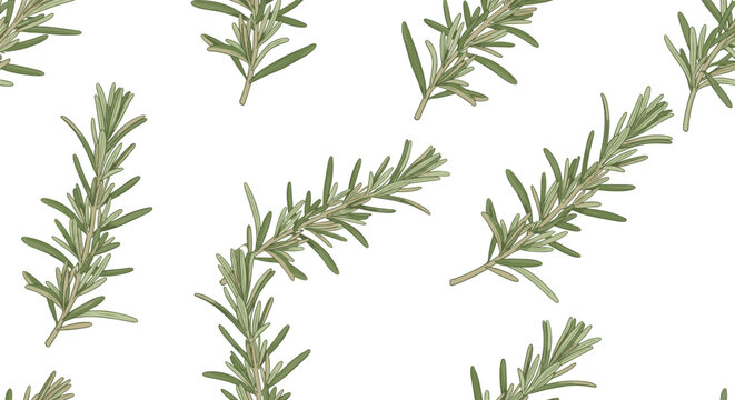 Array of vibrant red chili peppers in various sizes and curved shapes arranged dynamically on a clean white background.