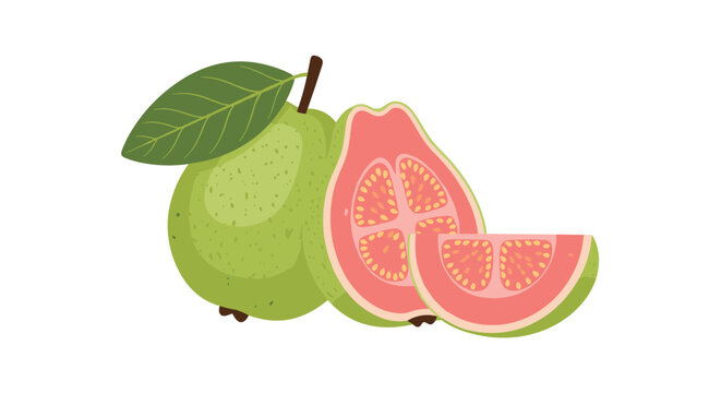Fresh pink guava fruit illustration featuring a whole fruit with a leaf along with half and a wedge slice showing seeds and pulp details.