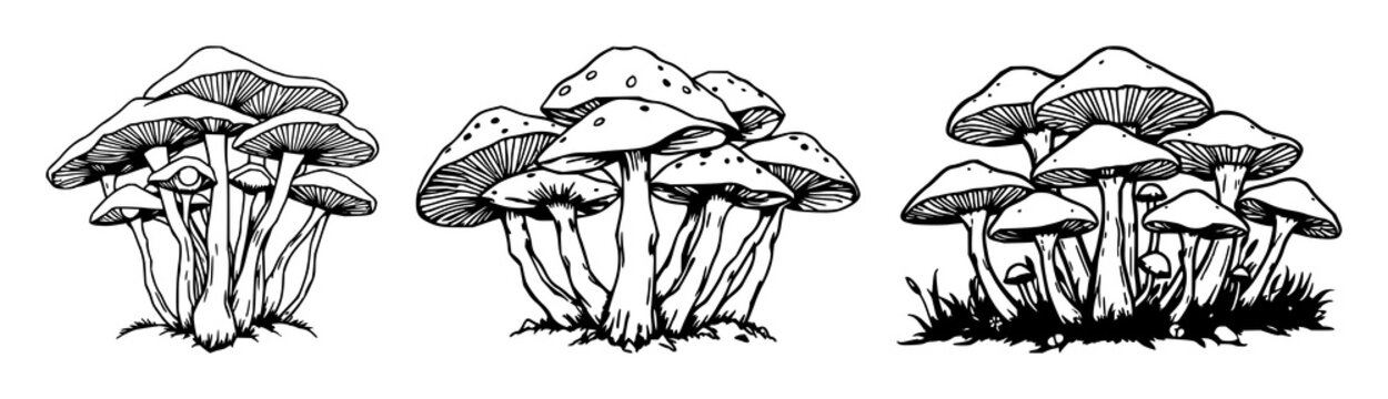 Mushroom cluster set with hand‑drawn organic art of glowing fungi featuring glowing, strange, botanical design with fungi and illustration