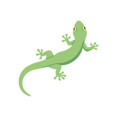 Obraz premium Simple green gecko lizard in side view with curved body and spread toes, isolated on a clean background, flat vector illustration with minimal shading and modern, playful design