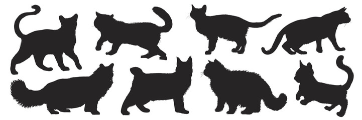 Silhouettes of various cats in different poses. Black cat silhouettes, feline shapes, cat outlines. Cats walking, sitting, and stretching in silhouette. Animal illustrations, isolated element vectors. © Rawpixel.com