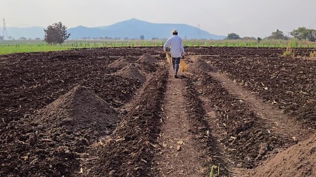 A farmer walks through a plowed field, preparing the soil for planting. He passes piles of natural compost manure, which gets spread across the rows to enrich the earth & ensure a healthy, high yield.