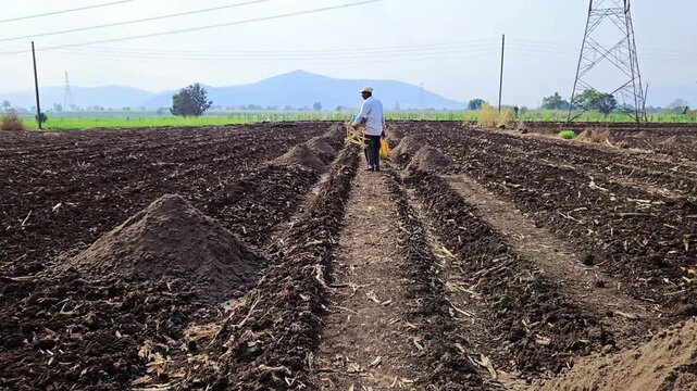 A farmer prepares his field for planting, moving past mounds of organic manure. These piles of natural compost will be spread across the plowed soil to provide vital nutrients for a successful harvest