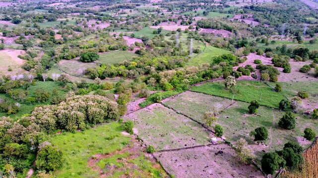 Aerial drone footage of vast farmland cultivated by locals, featuring diverse crops, green fields, and rural agricultural landscape under natural daylight.