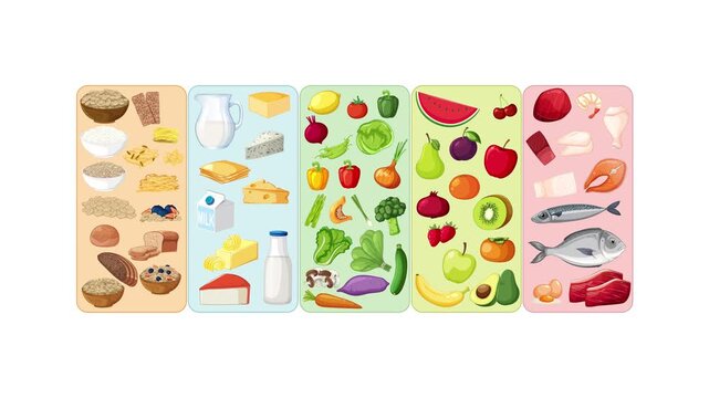 Nutrition infographics showing healthy food groups animation with grains dairy vegetables fruits and proteins.