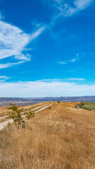Obraz premium rural road central otago new zealand golden yellow fields blue sky beautiful landscape scenery