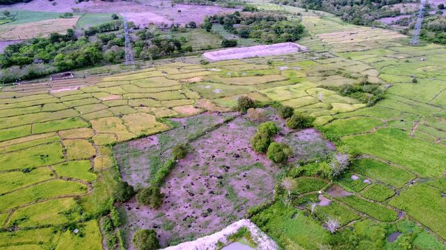 Aerial drone footage of vast farmland cultivated by locals, featuring diverse crops, green fields, and rural agricultural landscape under natural daylight.