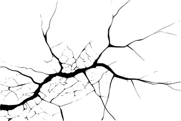 Obraz premium Black abstract crack pattern white background, representing fracture and damage