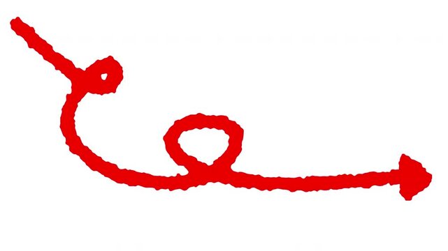 Dynamic red handdrawn curved arrow scribble animation with a looped stroke pointing to the right on a white background.