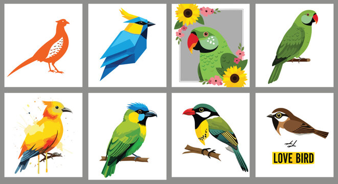 Colorful Bird Illustration Set Featuring Parrot, Love Bird, Pheasant, and Tropical Birds in Vibrant Designs