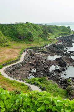 Scenic Coastal Path on Jeju Olle Trail Route 10 with Volcanic Rocks and Ocean Views