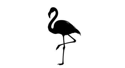 black flamingo silhouette standing alone © Md Shohel rana