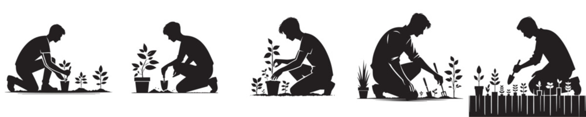 Fototapeta premium vector young man planting plant silhouette
