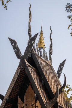 Close-up of the intricate dark wood and gilded roof of a traditional Thai architectural structure, showcasing ornate carvings and a golden spire. Captured at the captivating Baan Dam Museum in Chiang