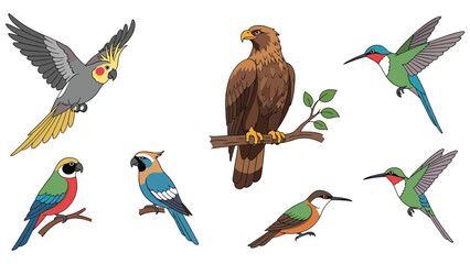 Obraz premium Detailed collection of exotic and common bird species including colorful parrots, a large eagle, and delicate hummingbirds.