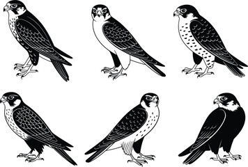 Fototapeta premium Falcon bird silhouette set with hunting hawk and predator eagle symbols isolated on white background vector illustration