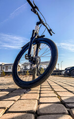 Fototapeta premium A sports bicycle stands on a cobblestone sidewalk.