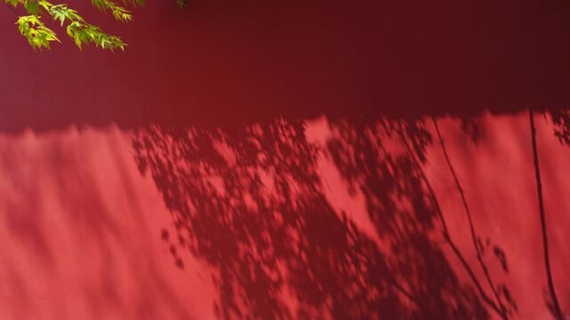 Red wall bamboo shadow ancient style artistic conception