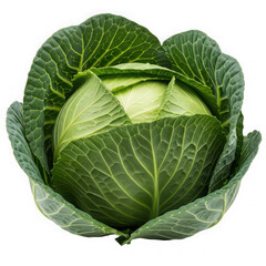 Fototapeta premium Fresh green cabbage isolated on transparent background with large leaves