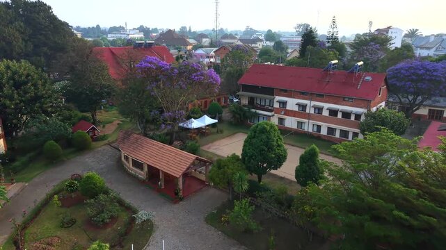 Aerial view shows red-roofed houses nestled among lush greenery. Purple jacaranda trees bloom vividly in warm sunlight. Peaceful residential neighborhood exudes calm, serene atmosphere