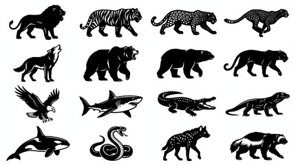 Obraz premium Wild Animal Silhouette Set — Lion, Tiger, Bear, Eagle, Shark, Wolf, Crocodile, Orca Black Vector Collection