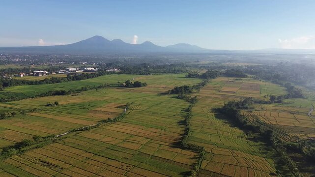 tunning Aerial View of Rice Fields with Mountain Range at Sunrise - 4K, Mount Batukaru, mount batukau