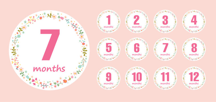 Cute 12 months stickers for the first year of the baby girl's life. Baby shower. Flowers in circle. Vector design.