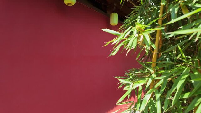 Red wall bamboo shadow ancient style artistic conception